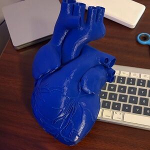 Blue Anatomical Heart Model